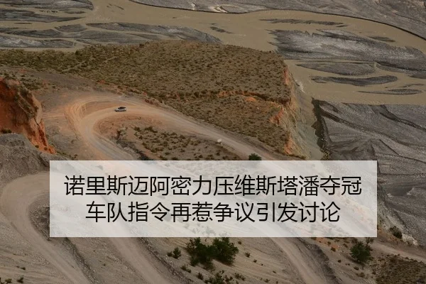 诺里斯迈阿密力压维斯塔潘夺冠 车队指令再惹争议引发讨论