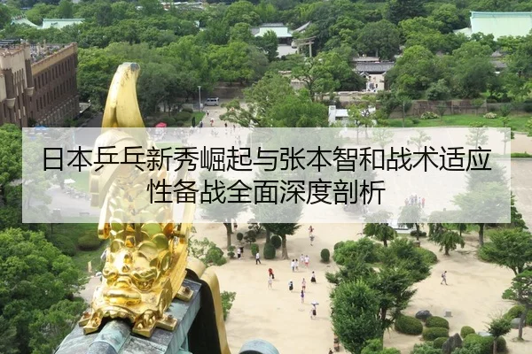 日本乒乓新秀崛起与张本智和战术适应性备战全面深度剖析